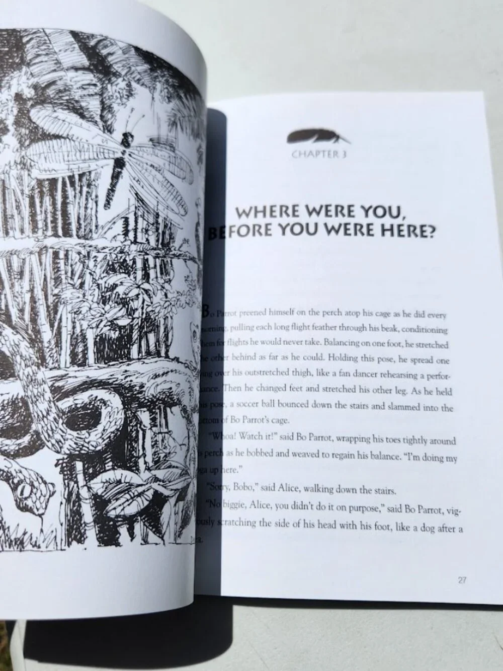 What the Parrot Told Alice Paperback Book by Dale Smith Young Adult Reading Mate